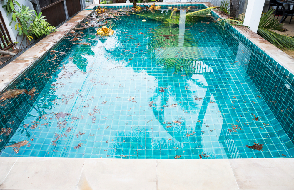 stock-photo-swimming-pool-problem-and-service-concept-dirt-from-coconut-tree-falling-into-swimming-pool-1126444163-e1652841157938